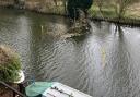 A fallen tree in the Yare is yet to be removed more than a month after falling