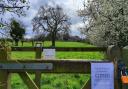 Tasburgh Enclosure has been temporarily closed by the Norfolk Archaeological Trust