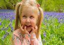 A child enjoying the bluebells at Pensthorpe Picture: Pensthorpe