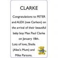 PETER and ALEX CLARKE