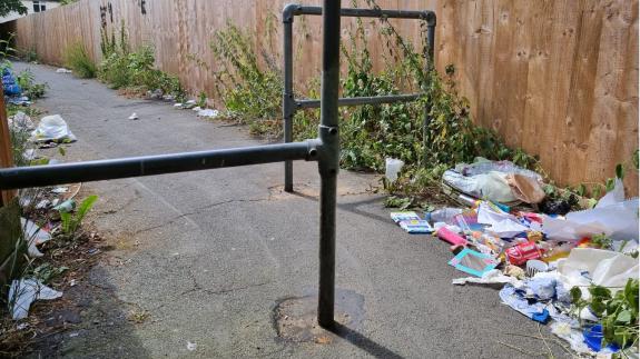 Norwich Evening News: The photos taken of the fly-tipping are a mixture of the alleyways on both the Plumstead estate and around Borrowdale Drive. Norwich Evening News: The photos taken of the fly-tipping are a mixture of the alleyways on both the Plumstead estate and around Borrowdale Drive.