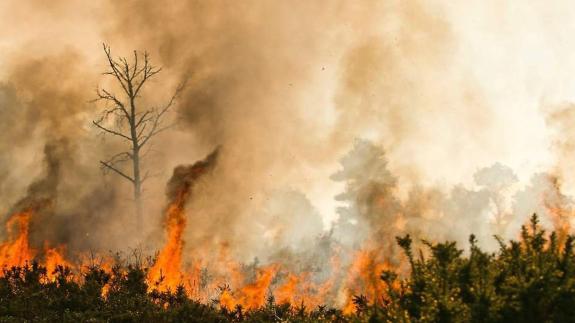 Norwich Evening News: The event is being tested to help alert the public about extreme weather events such as wildfires. Norwich Evening News: The event is being tested to help alert the public about extreme weather events such as wildfires.