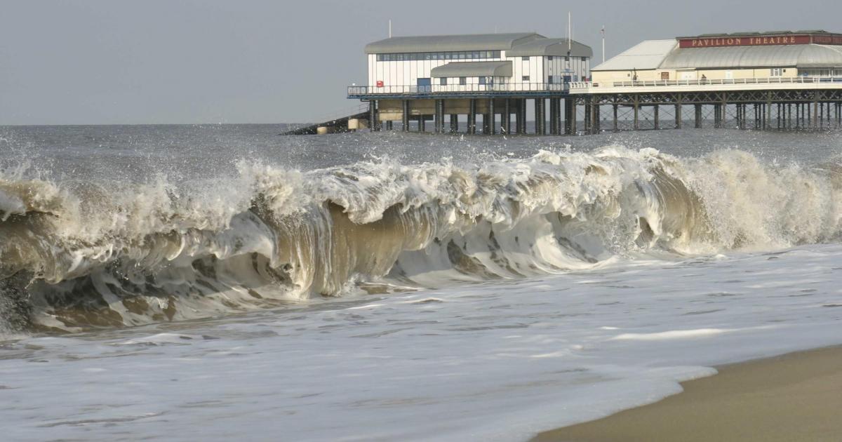 Why a life living on the edge of Norfolk is so apt for me - Vimarsana News