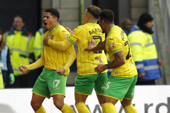 Norwich Evening News: The flare came after Gabriel Sara scored the third Norwich goal in a 3-2 win over Millwall Norwich Evening News: The flare came after Gabriel Sara scored the third Norwich goal in a 3-2 win over Millwall