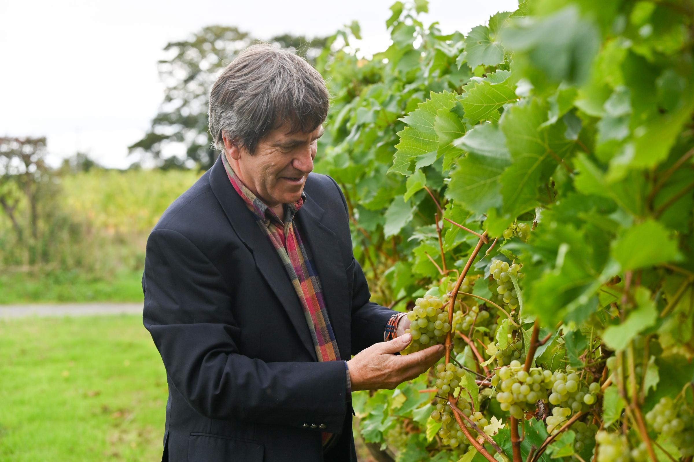 Norwich Wine Week: Sample the best of our county's wines - Vimarsana News