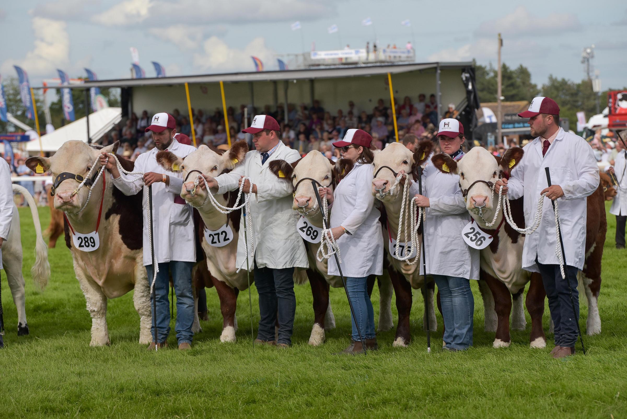Royal Norfolk Show team reports 2022 surplus at AGM - Vimarsana News