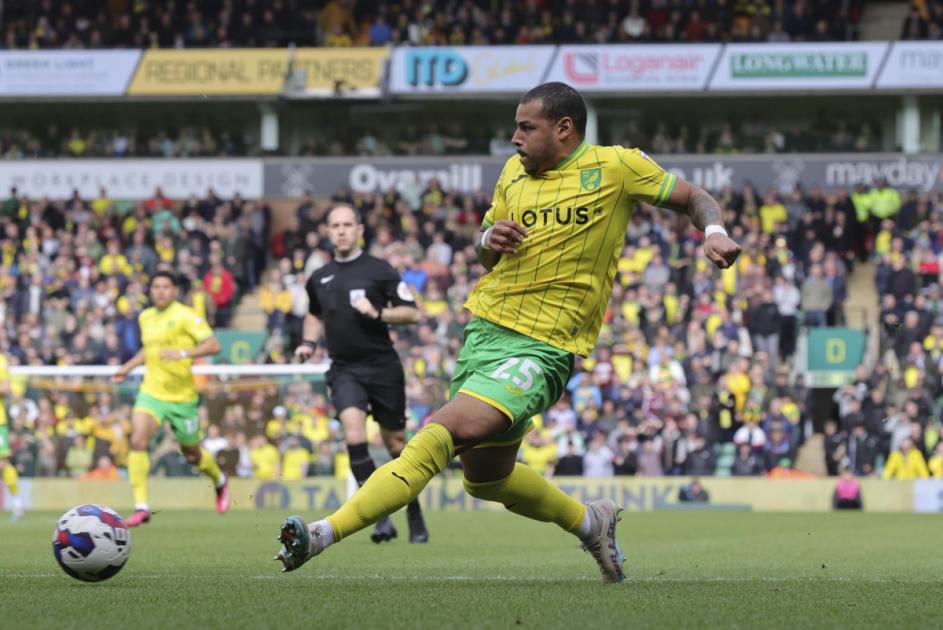 Norwich City: Analysis of Onel Hernandez 2022/23 Championship campaign