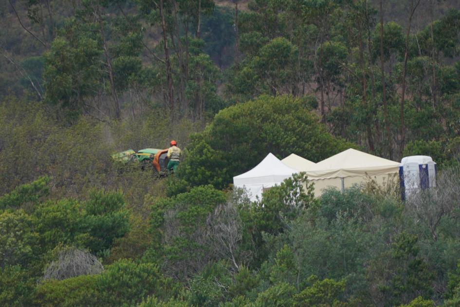 Police begin digging in woodland during Madeleine McCann searches