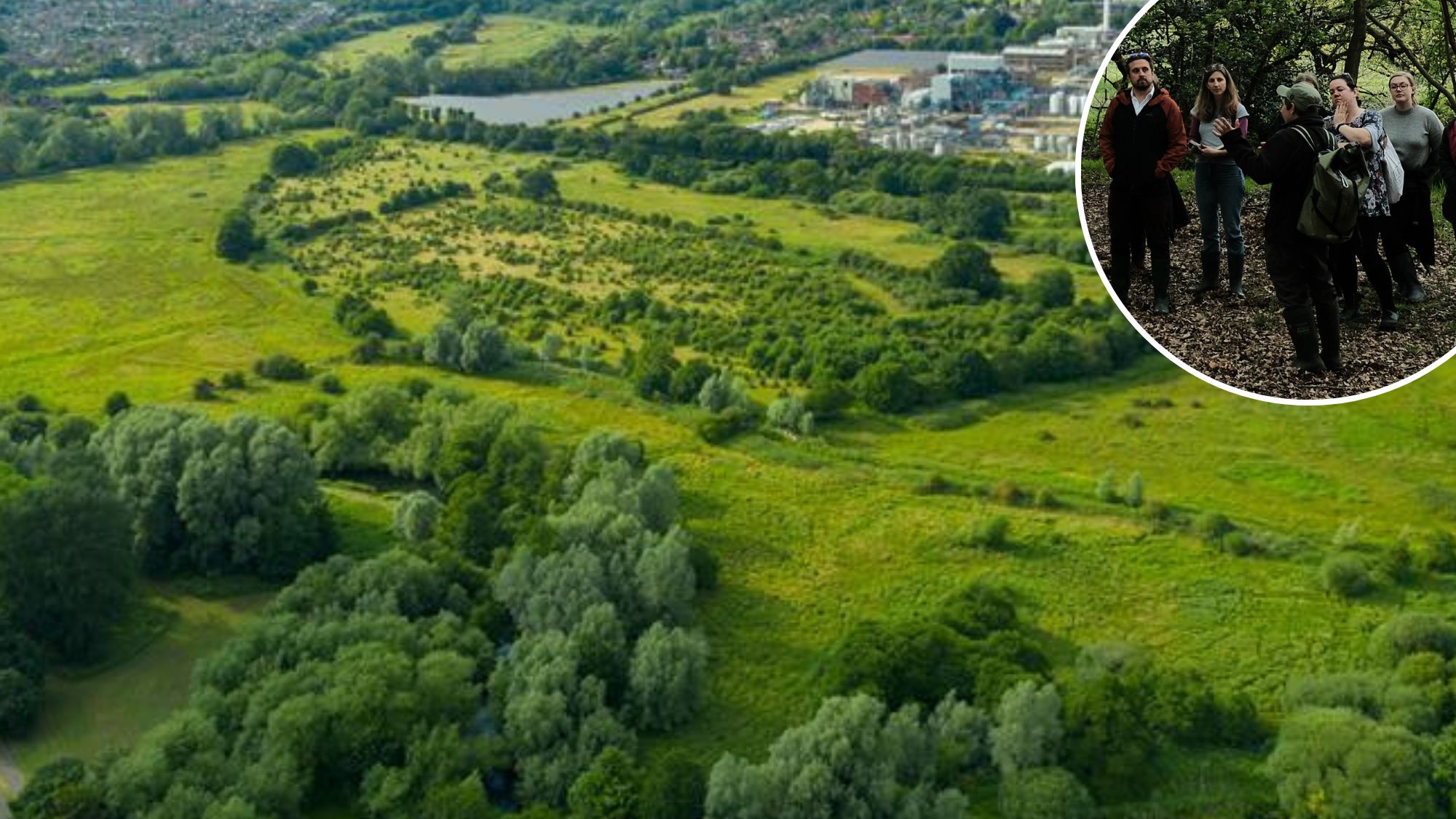 Norwich: Sweet Briar Marshes nature reserve to open in 2023 - Vimarsana News
