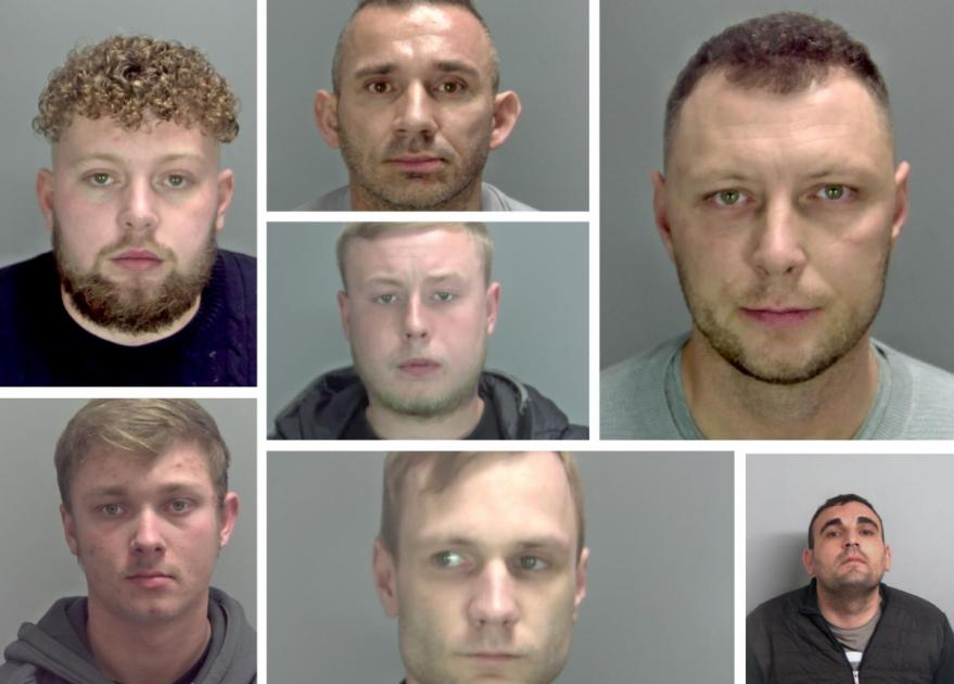 Cocaine gang and serial burglar jailed in Norfolk this week
