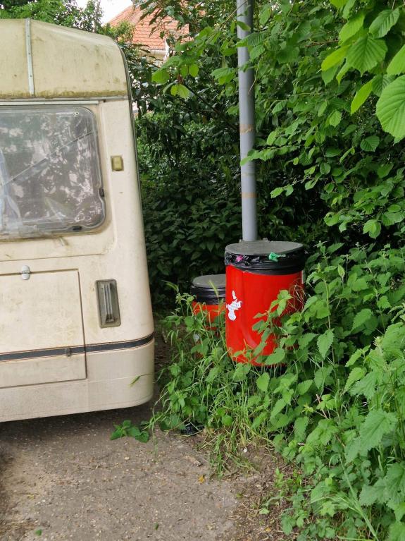 Norwich Evening News: Neighbours had complained it was a health and safety risk Norwich Evening News: Neighbours had complained it was a health and safety risk