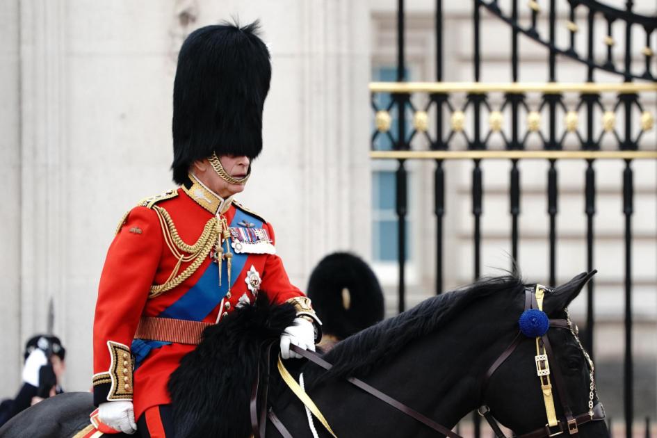 King pays tribute to troops to mark Armed Forces Day