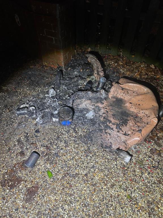 Norwich Evening News: The two wheelie bins have melted into the driveway Norwich Evening News: The two wheelie bins have melted into the driveway
