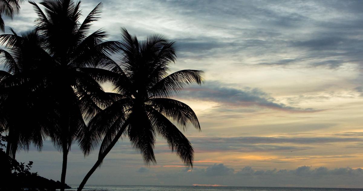British tourist in hospital after shark attack as Tobago closes several beaches - Vimarsana News