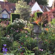 A secret garden behind Norwich's Bear Shop.
