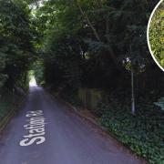 Station Road in Brundall where two new homes could be built and Green Party district councillor Eleanor Laming
