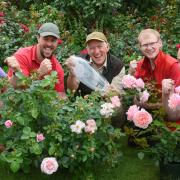 Ian Limmer, centre, Peter Beales Roses nursery manager, and some of the team celebrating winning the President's Award for the best exhibit at the Chelsea Flower Show. From left, Vaughn Limmer, head gardener; Mat Nicholas, production assistant; Neal