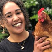Bushra Abu-Helil is a PhD student researching chicken microbiomes at Quadram Institute Bioscience in Norwich