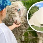 Wroxham Barns has introduced glamping facilities in bell tents.