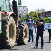 Animal rights activists stopping farmers' vehicles on their way into Norwich Livestock Market