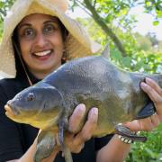 Spring 2020... Enoka with a post Covid tench