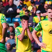 Norwich City capitulated in a 3-0 Premier League defeat to Newcastle
