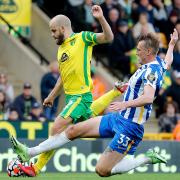 Teemu Pukki in action during Norwich City's goalless draw with Brighton in October