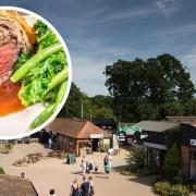 Farmyard Frozen will soon have a pop-up shop at Wroxham Barns, pictured is a beef wellington.