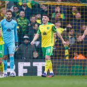 Norwich City's hopes of survival in the Premier League are slipping away after a defeat to Brentford.