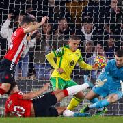 Che Adams netted the only goal as Norwich City lost 1-0 at Southampton.