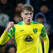 Brandon Williams has established himself as Norwich City's first choice at left-back