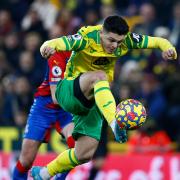 Milot Rashica caught the eye in Norwich City's 1-1 Premier League draw against Crystal Palace