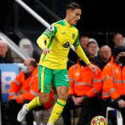 Dimitris Giannoulis made an impact from the bench as Norwich City drew 1-1 with Newcastle United.