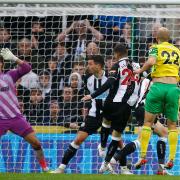 Teemu Pukki salvaged a point for Norwich City with a late equaliser in a 1-1 Premier League draw at Newcastle United