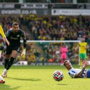 Norwich City's Josh Sargent spurns a huge chance in Brighton's Premier League visit to Carrow Road.