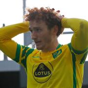 Josh Sargent comes to terms with missing an open goal during Norwich City's draw with Brighton