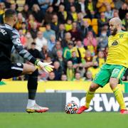 Teemu Pukki and Josh Sargent both missed opportunities to win the match for Norwich City.