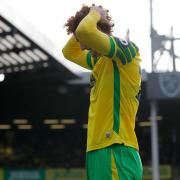 Norwich City striker Josh Sargent squandered a golden opportunity just before half time.