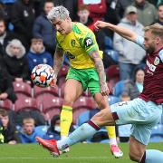 Mathias Normann is expected to be fit for Norwich City's clash with Brighton despite dropping out of the Norway squad