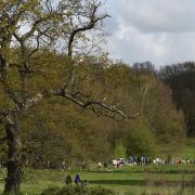 The run is held at Catton Park in Norwich