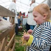 Norfolk HarFest will return on Saturday October 2 to a new venue at the Norfolk Showground