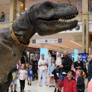 Families are amazed to see a T Rex called Donald entertaining the children at the Castle Quarter in Norwich. Picture: DENISE BRADLEY