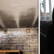 A domestic abuse victim who fled to Norfolk from London says her mental and physical health is ruined because of black mould and asbestos in her home