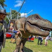 Visitors to the Castle Quarter in Norwich will be able to meet animatronic dinosaurs and take part in a themed trail this summer.