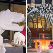The GoGoDiscover trail and Dippy's visit to Norwich Cathedral will bring a summer of dinosaurs to Norwich.