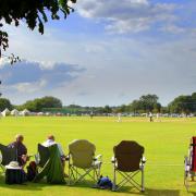 The Norfolk Festival of Cricket at Manor Park