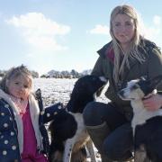 Award-winning Norfolk shepherdess Becky Dixon with daughter Evie and sheepdogs Kip and Swift