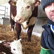 Norfolk cattle farmer Jeremy Buxton helped deliver a new calf before being called into action to pull stranded cars from snow drifts