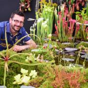 Steve Bunclark with his Gold Award winning stand of Predator Plants based at Rackheath, at the Royal Norfolk Show Flower Show. Picture: DENISE BRADLEY