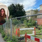 Green Party city councillor Ash Haynes (pictured) is calling for the former community garden between Rose Lane and St Johns Street in Norwich to be reinstated